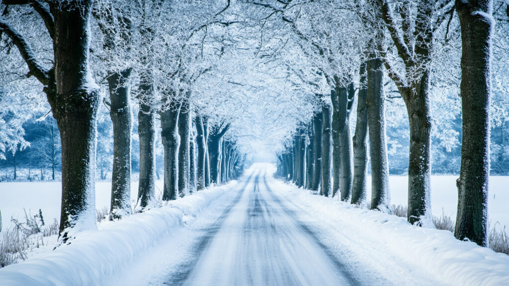 雪の降り積もる道