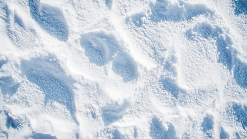 雪道の足跡