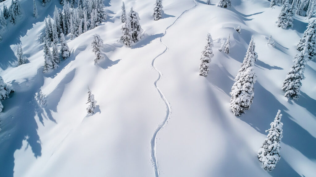 雪山の通った跡