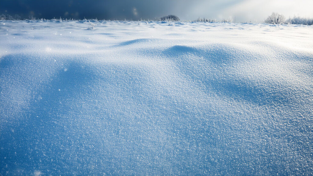 雪の地表