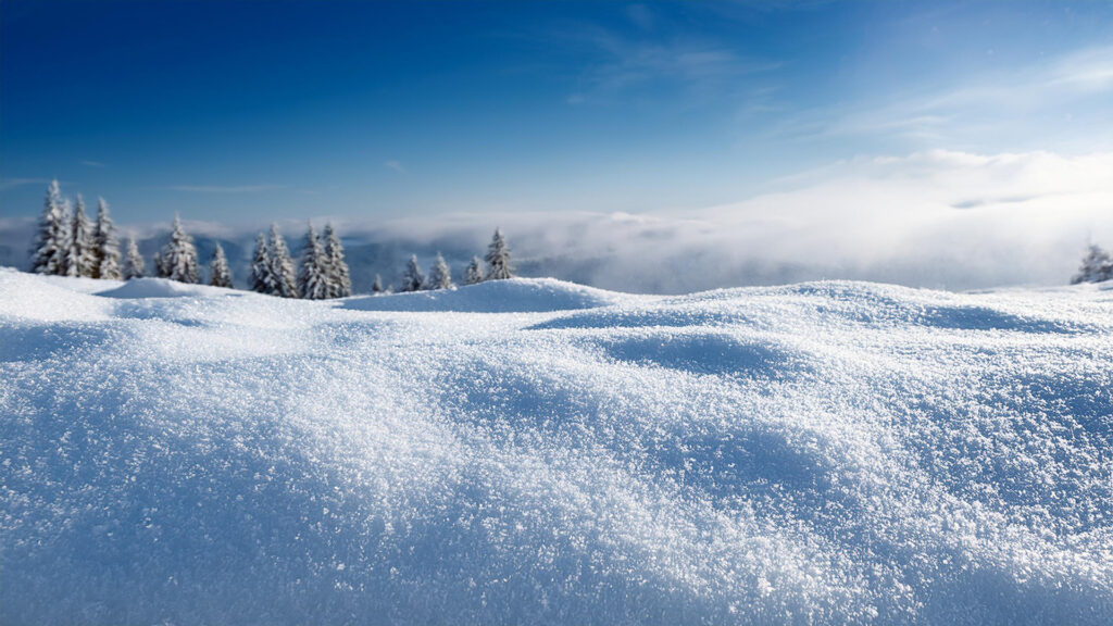 雪の地表