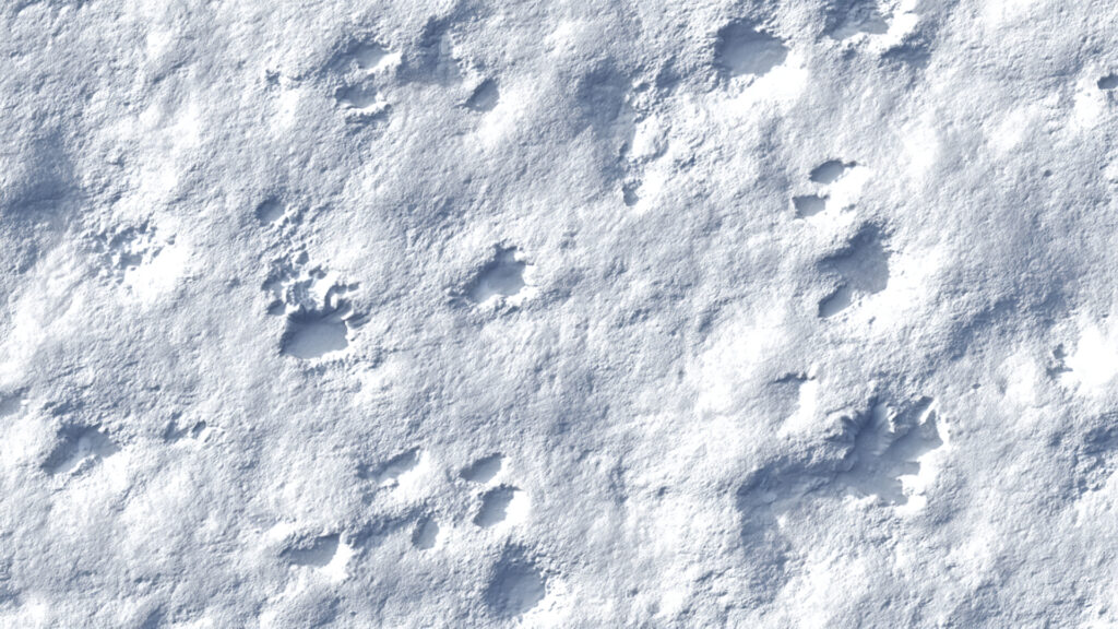 雪に覆われた地面テクスチャ