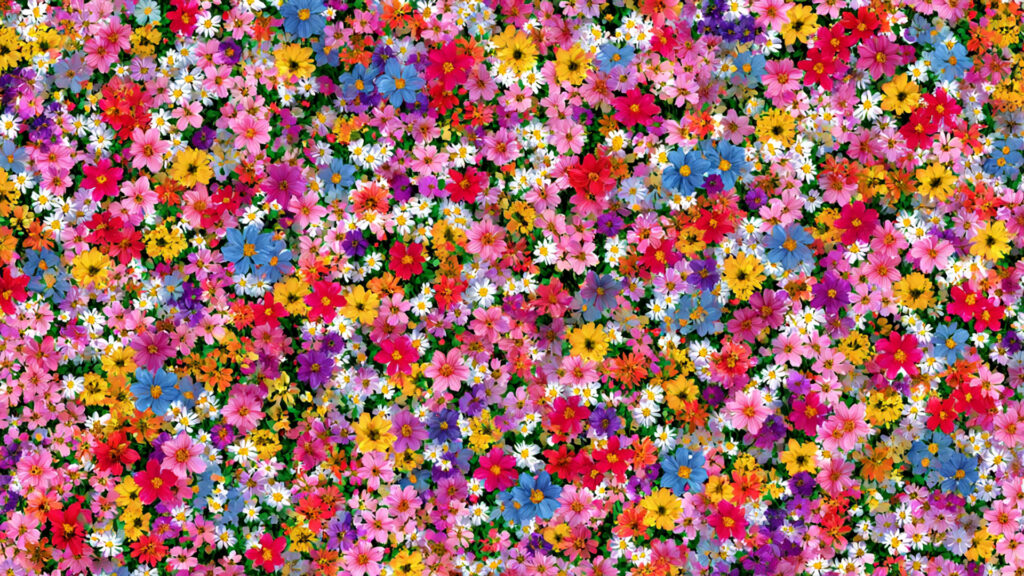 カラフルな小花のテクスチャ