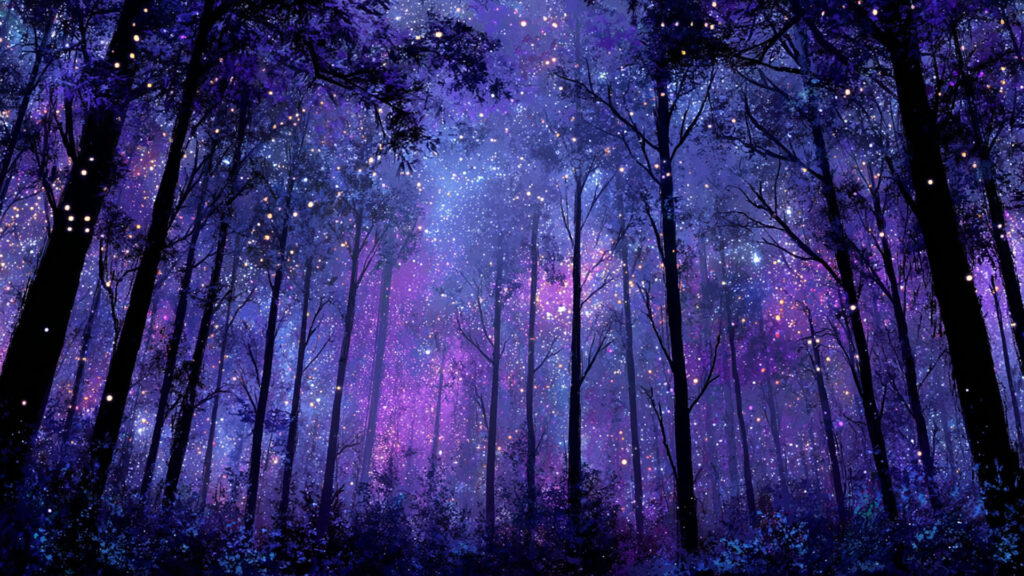 星空の森