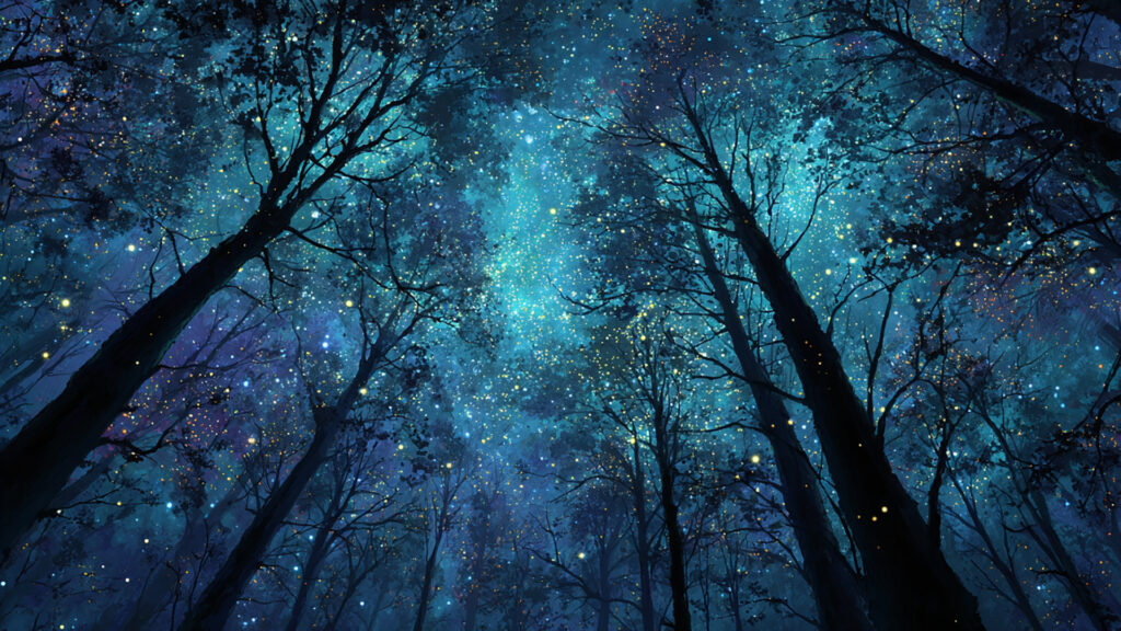 星空の森