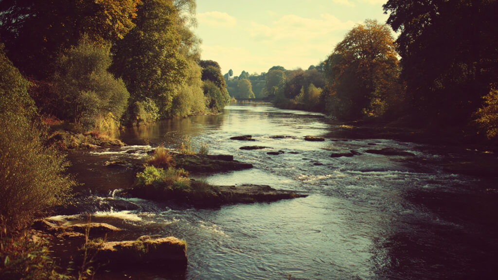 川｜フィルム写真風