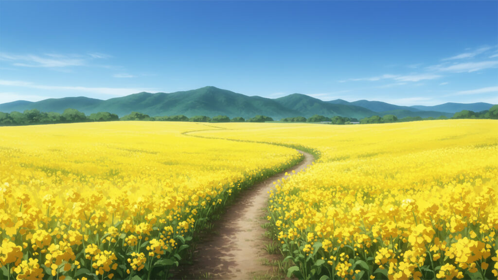 菜の花畑