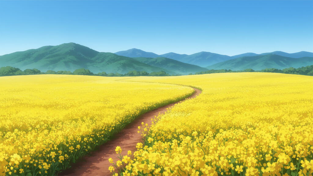 菜の花畑